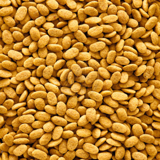 Versele-Laga Nutribird P15 Original Parrots 1kg