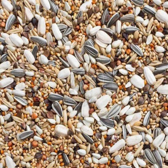 Deli Nature Large Parakeets auringonkukansiemenillä 20 kg