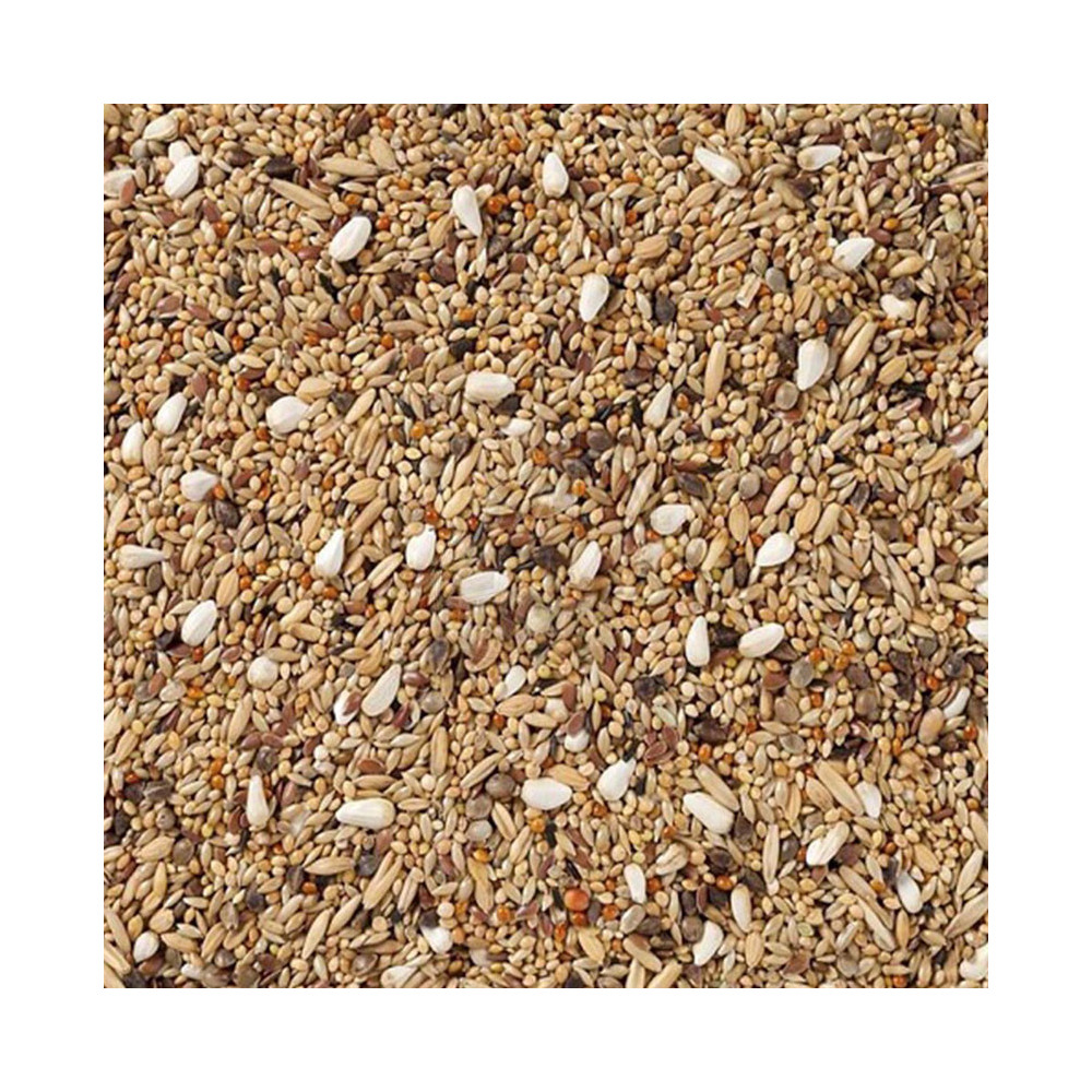 Deli Nature Large Parakeets without sunflowerseeds 20 kg