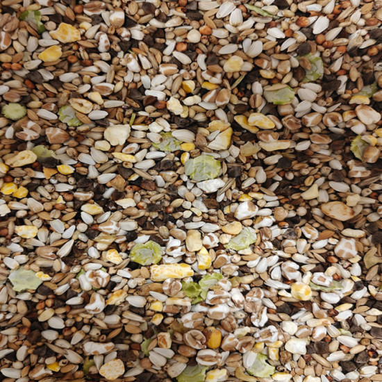 Versele-Laga Parrots Super Diet 20 kg