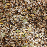 Versele-Laga Parrots Super Diet 20 kg