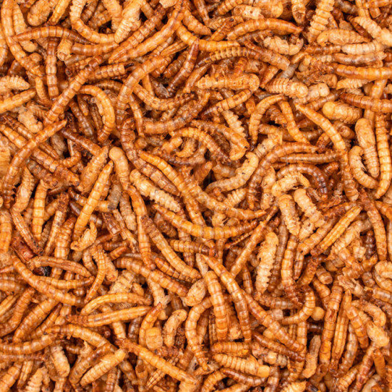 Deli Nature Chix Mealworms 200g