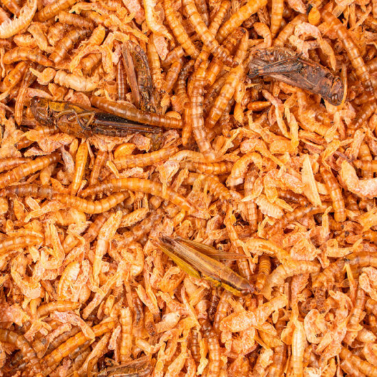 Deli Nature Chix Insect Mix 180g