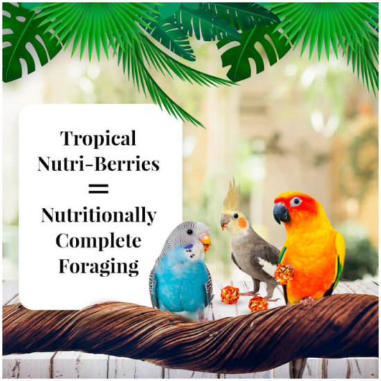 Lafeber Nutri-Berries Tropical Fruit Cockatiel 284g 