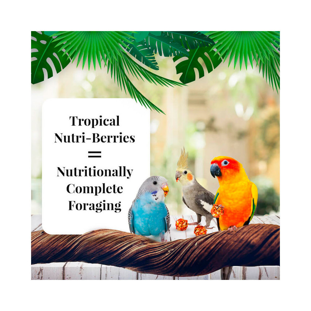 Lafeber Nutri-Berries Tropical Fruit Cockatiel 284g 