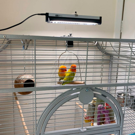 Arcadia Bird PureSun Mini Kit