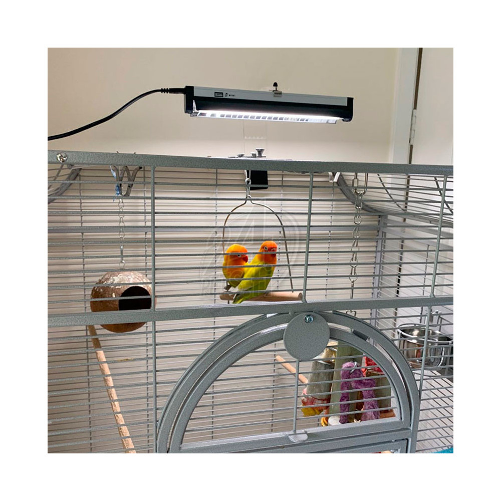 Arcadia Bird PureSun Mini Kit