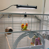 Arcadia Bird PureSun Mini Kit