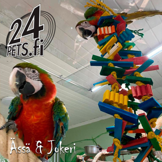 Zoo-Max Elegantissimo