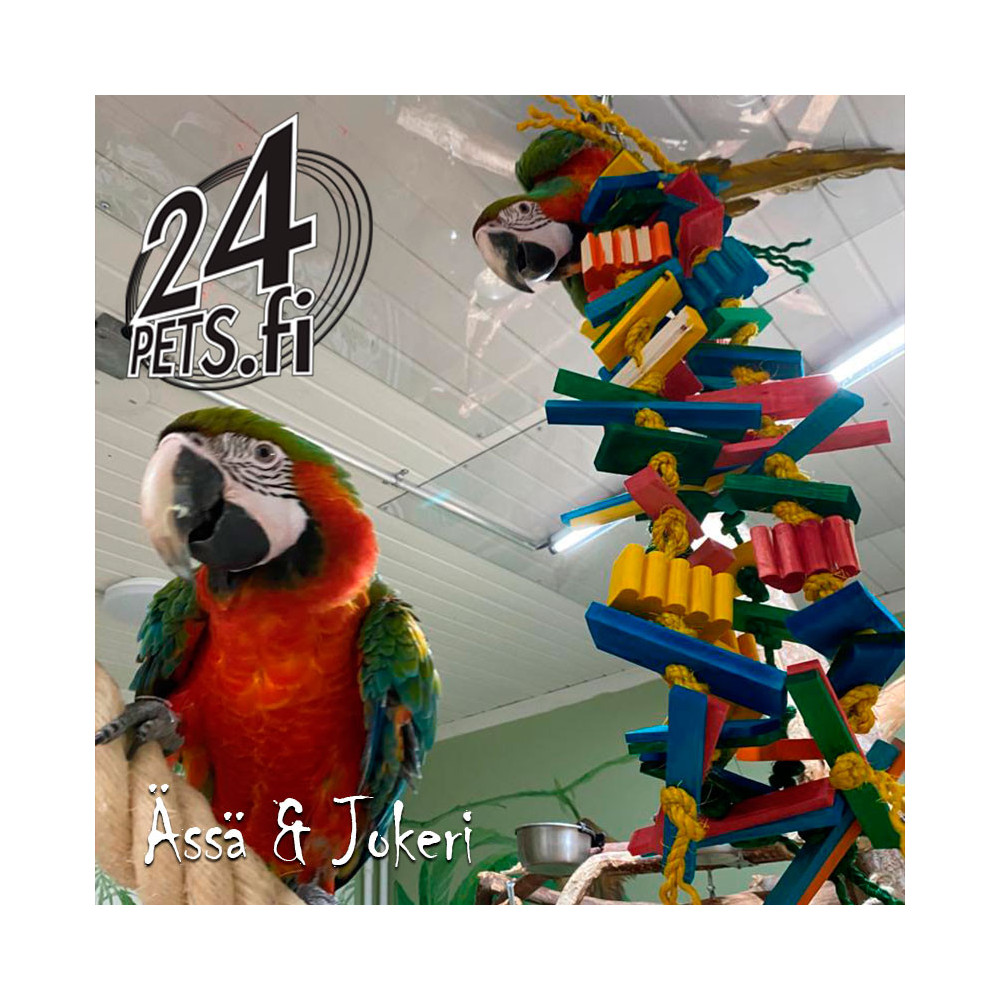 Zoo-Max Elegantissimo