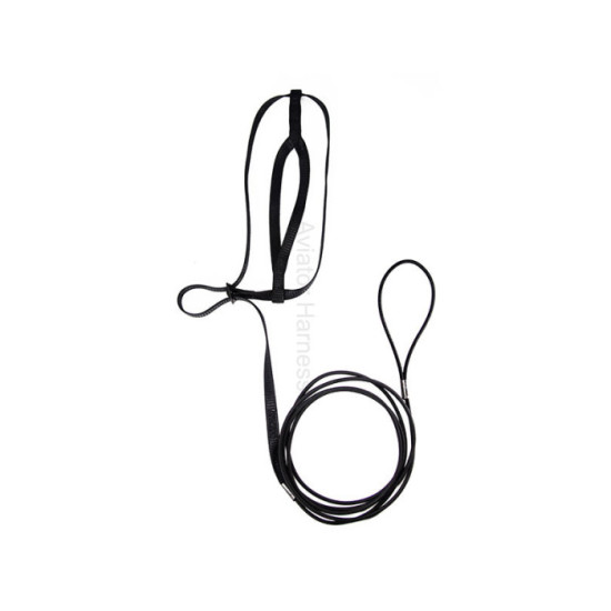 Aviator Harness lintuvaljaat Large