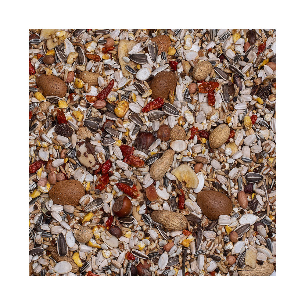 Deli Nature Birdelicious Exquisit Nuts 750g