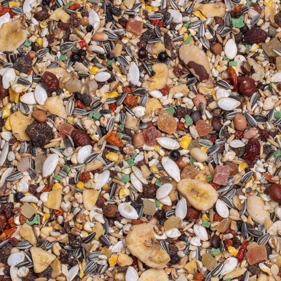 Deli Nature Birdelicious Tropical Fruit 750g