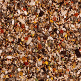 Deli Nature Premium Parrots With Fruit 3 kg Plus  Extra 10%