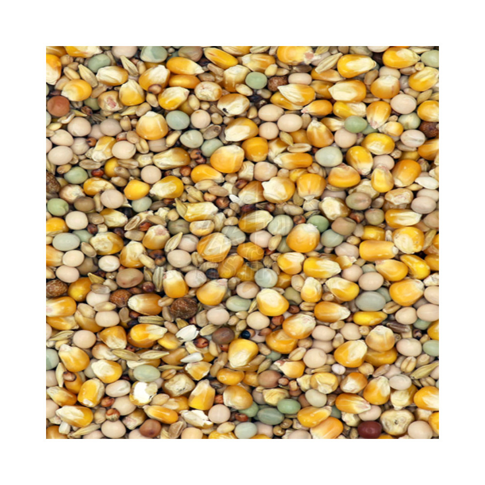 Versele-Laga Classic 4 Seasons 20 kg