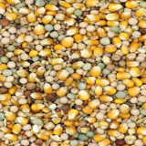 Versele-Laga Classic 4 Seasons 20 kg