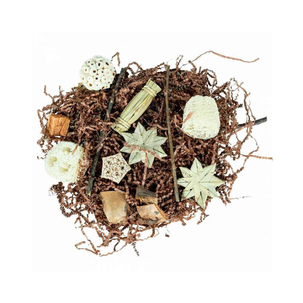 Nature Pentagon Foraging and Play Box