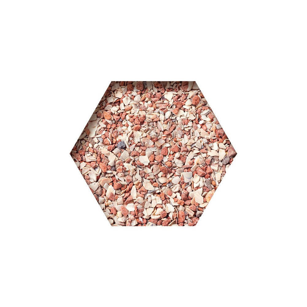 Beyers Grit Extra 20 kg