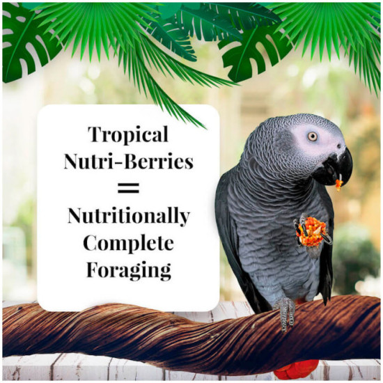 Lafeber Nutri-Berries Tropical Fruit 284g 