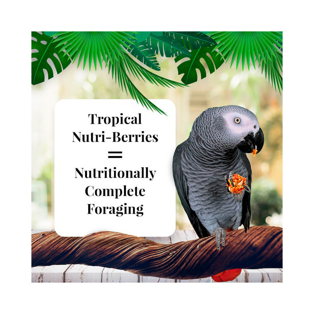 Lafeber Nutri-Berries Tropical Fruit 284g 