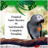 Lafeber Nutri-Berries Tropical Fruit 284g 