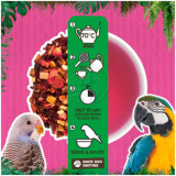 Nature Parrot Tea Fruit and Berry Tea koko
