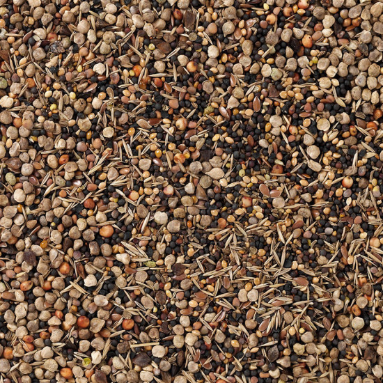 Deli Nature Wild Seeds 600g
