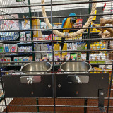 Aviaario Setti Papukaijoille 2M2