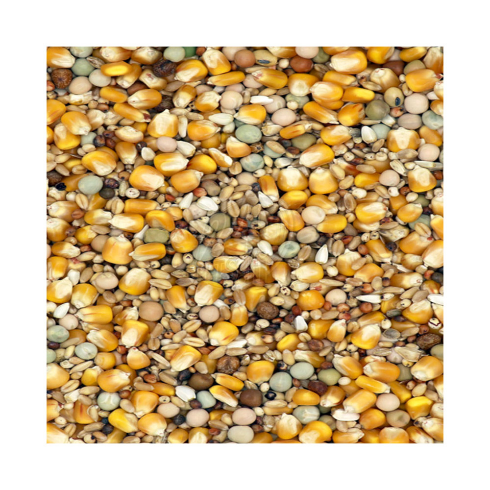 Versele-Laga Classic Breeding and Racing Mixture