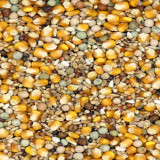 Versele-Laga Classic Breeding and Racing Mixture