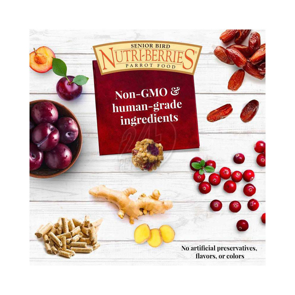 Lafeber Nutri-Berries Senior Parrot 284g