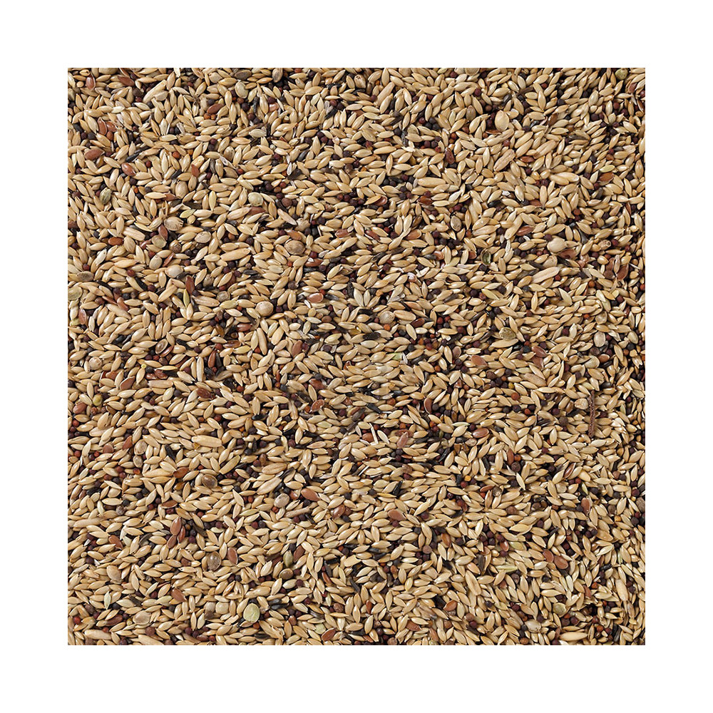 Deli Nature Premium Canaries 4 kg