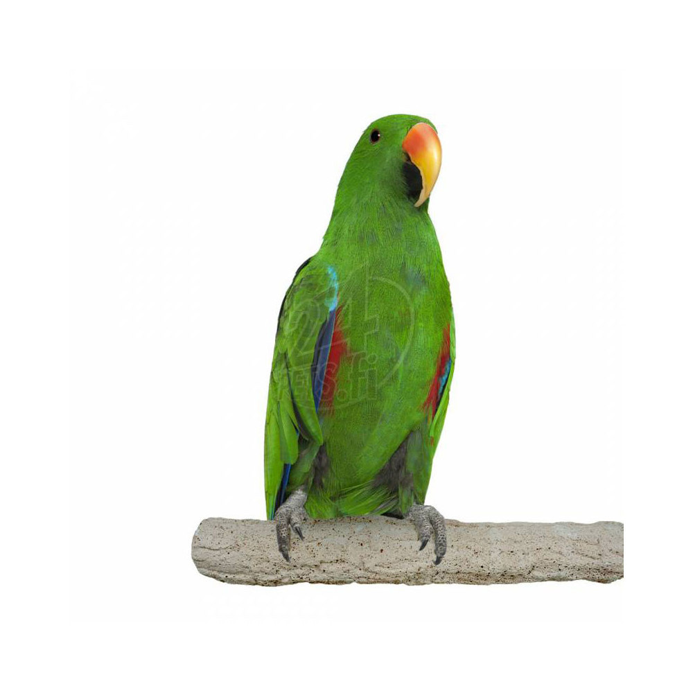 Nature Super Stone Perch 28 cm 40 mm