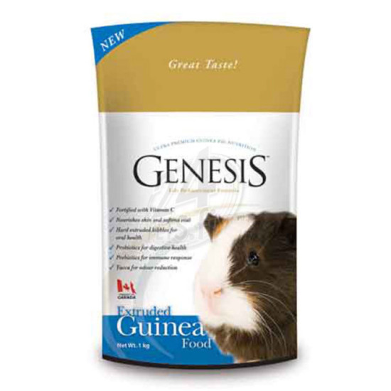 Genesis Guinea Pig 5kg ALE! 1 KPL!