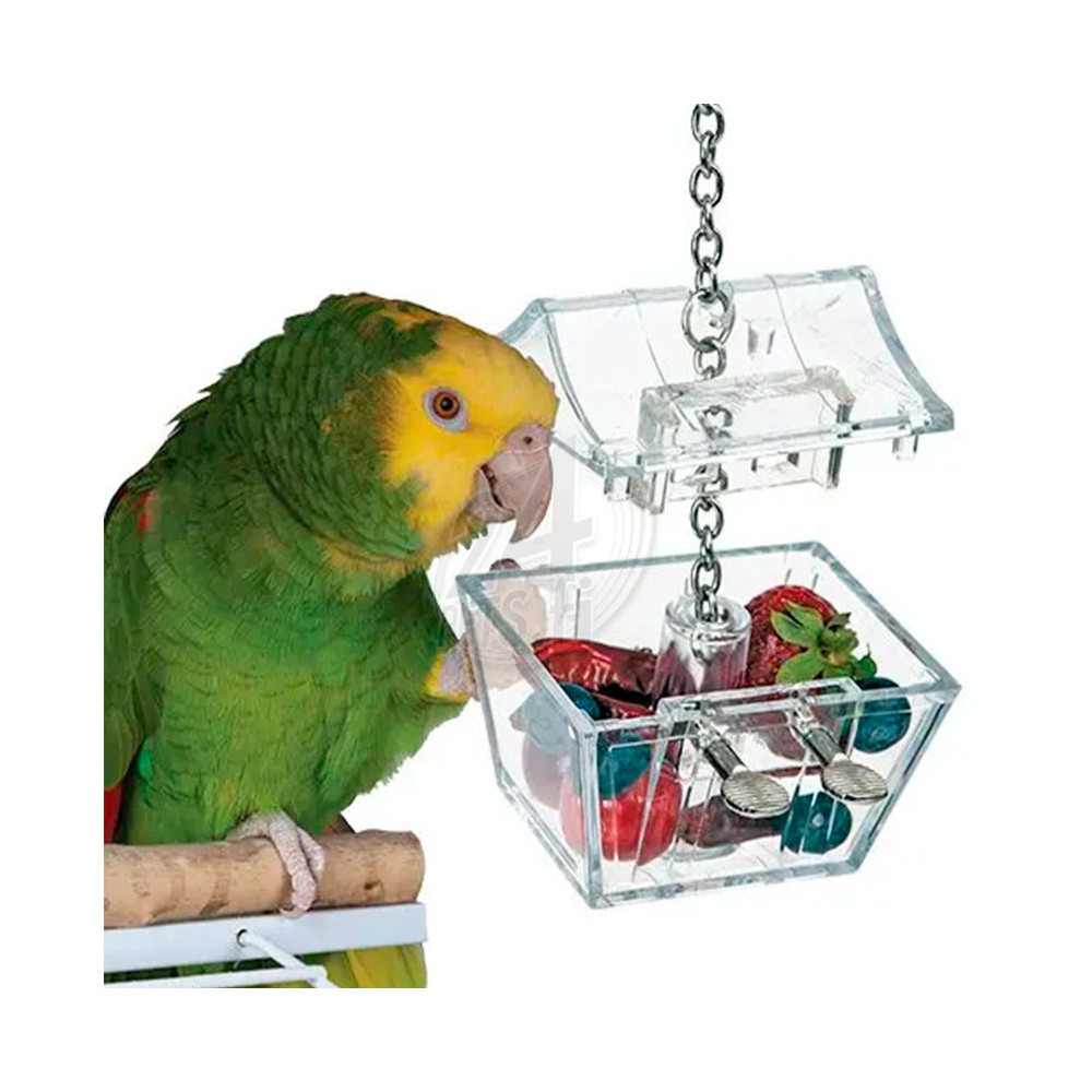Parrots Treasure