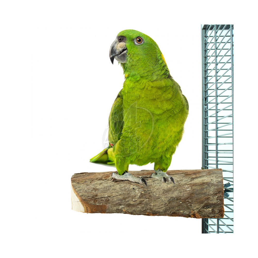 Nature Wood Slice Perch Large 