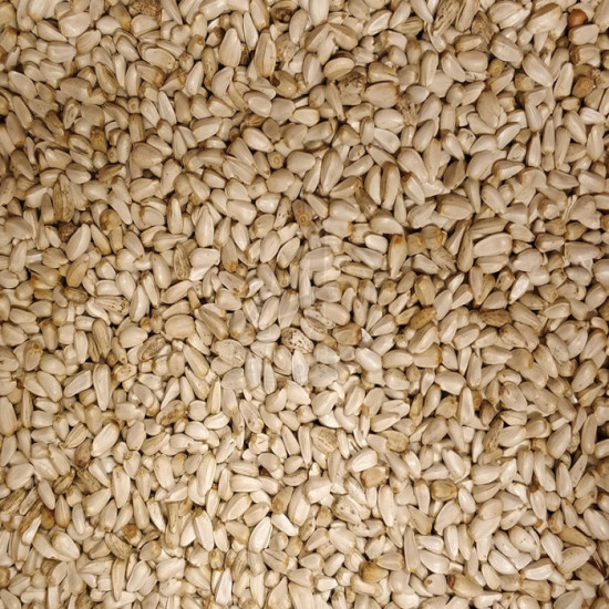 Versele-Laga Safflower Seeds 1 kg