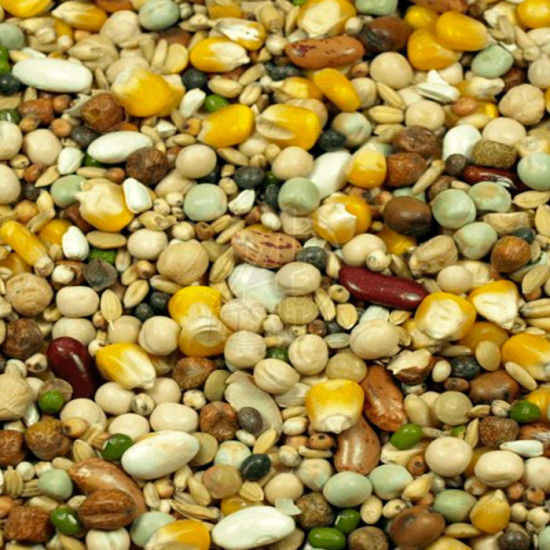 Versele-Laga Parrots Dinner mix 1 kg