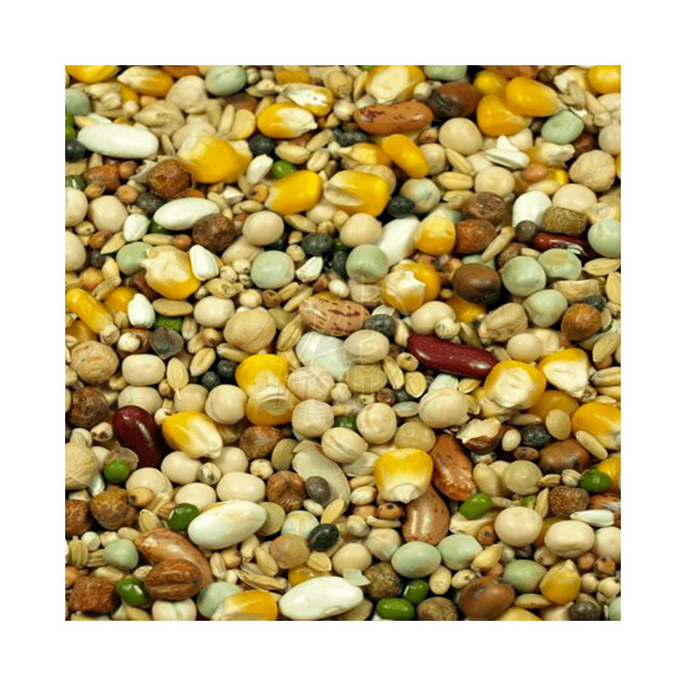 Versele-Laga Parrots Dinner mix 1 kg