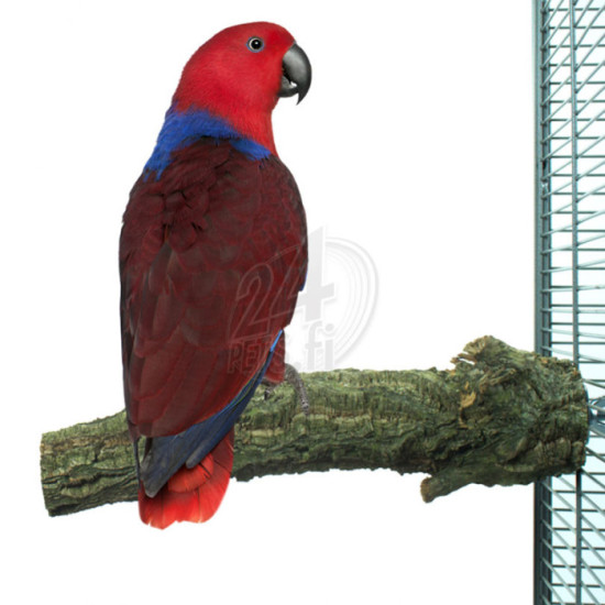 Nature Corky Perch Large 