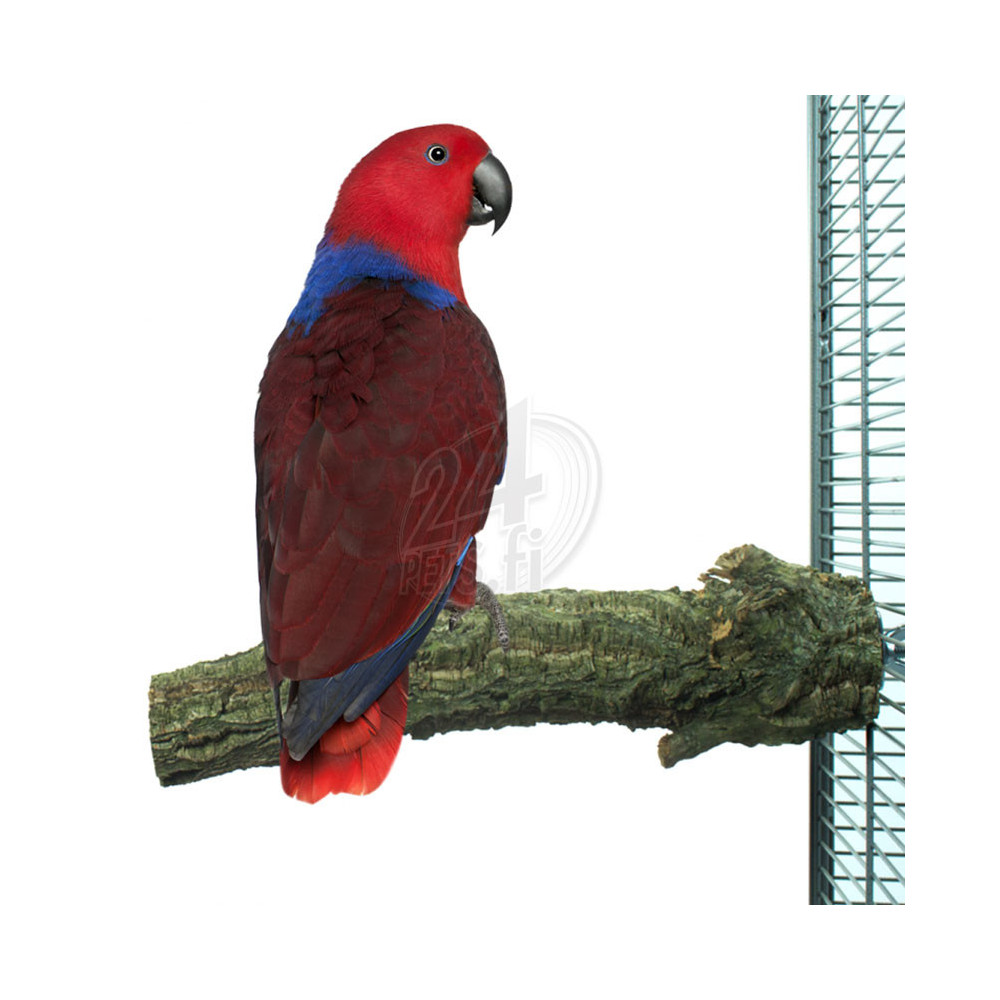 Nature Corky Perch Large 