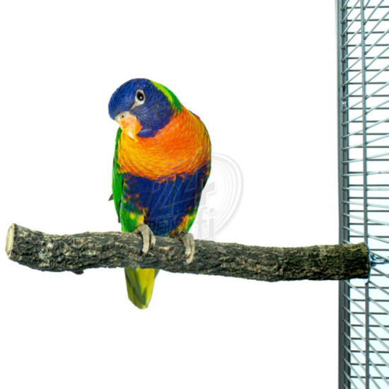 Nature Corky Perch Medium 