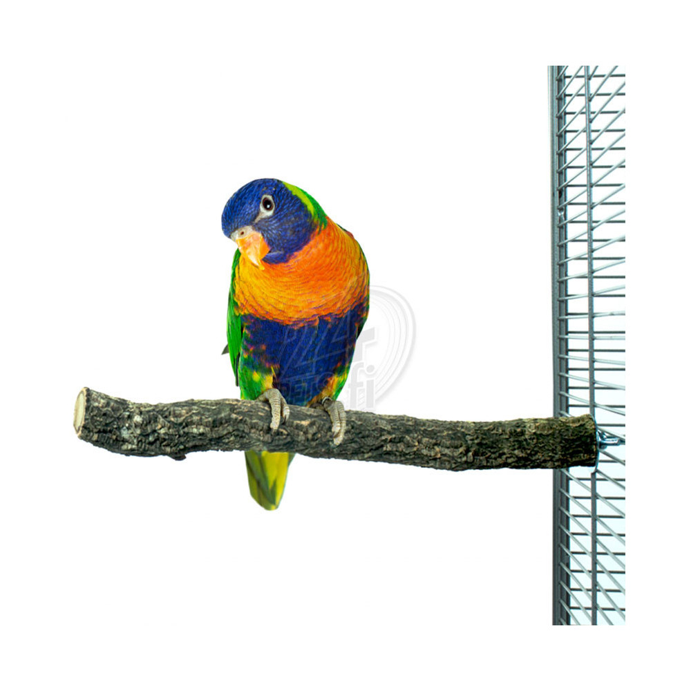 Nature Corky Perch Medium 