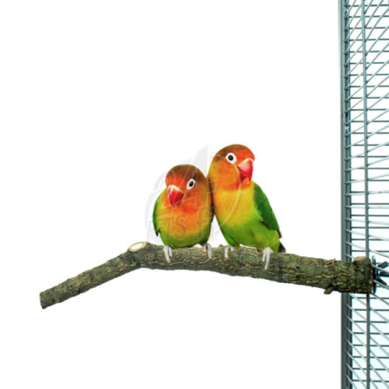 Nature Corky Perch Small 