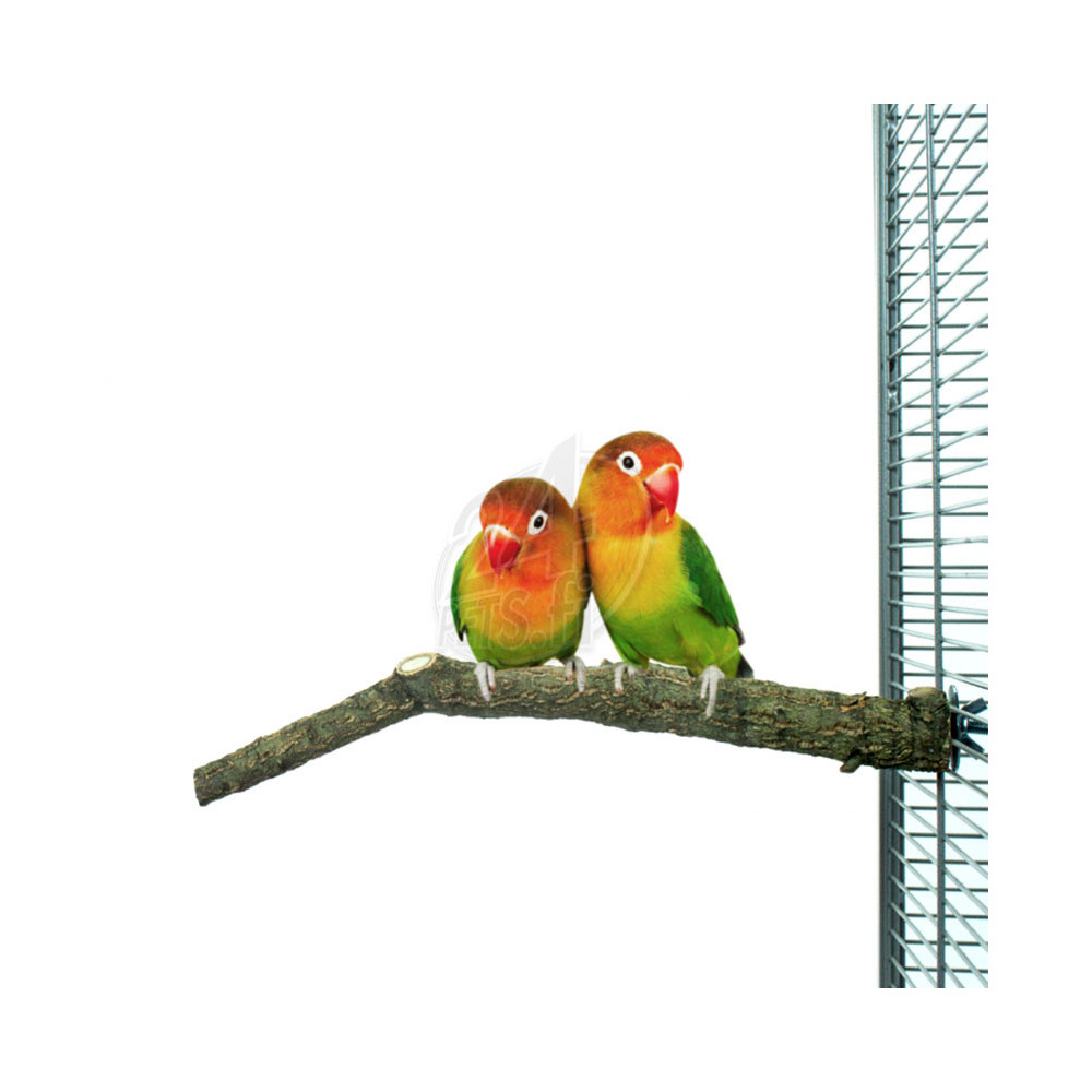 Nature Corky Perch Small 