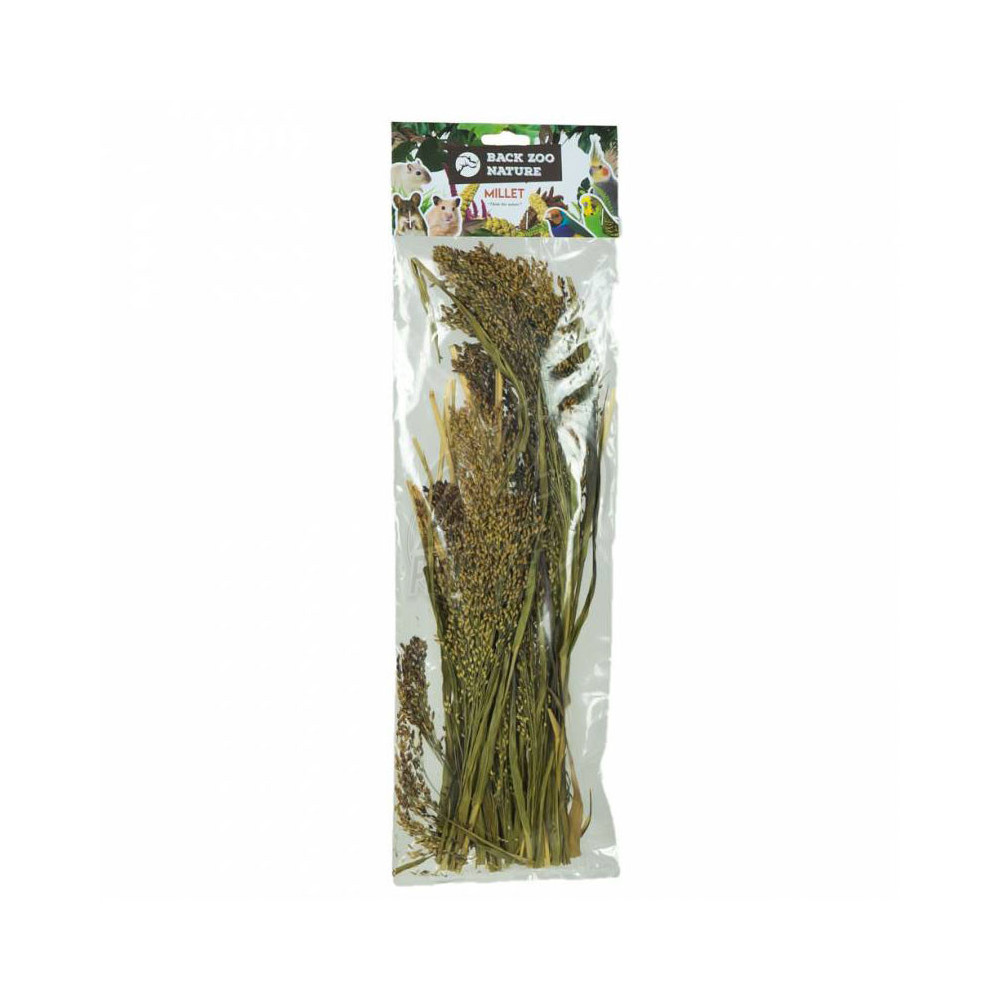 Nature Panicum 40 g
