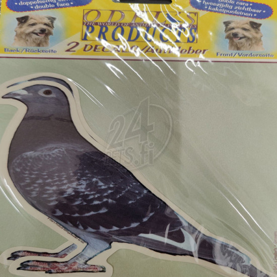 Tarra iso Viestikyyhky 2 kpl