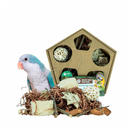 Nature Pentagon Foraging and Play Box