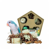 Nature Pentagon Foraging and Play Box