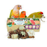 Nature Hexagon Foraging and Play Tunnel